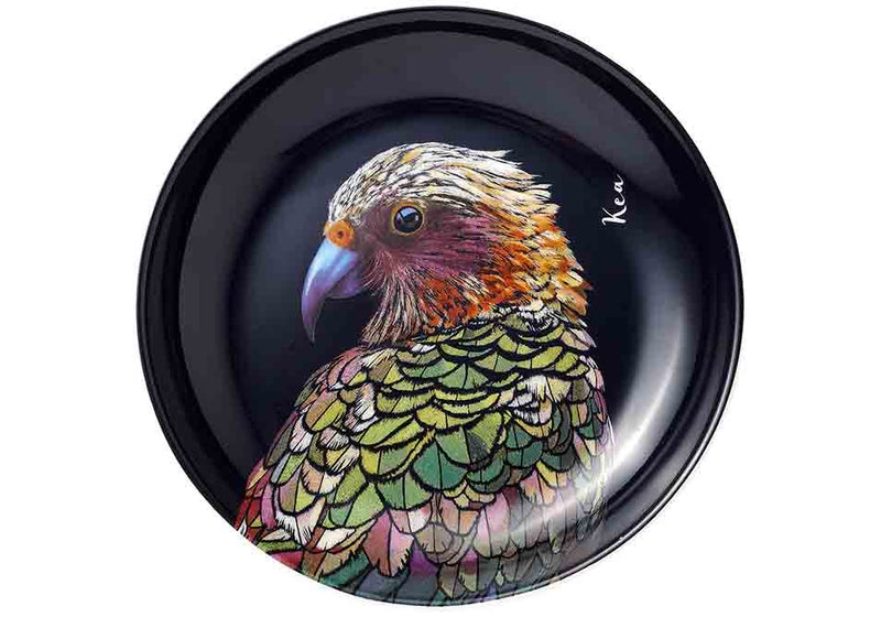 Majestic Birds Kea Trinket Dish