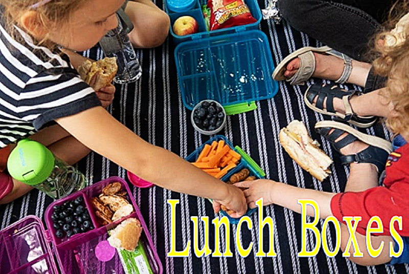 Lunch Boxes