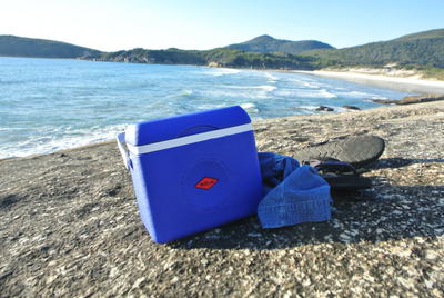 BRAND -  Willow Chilly Cooler Boxes