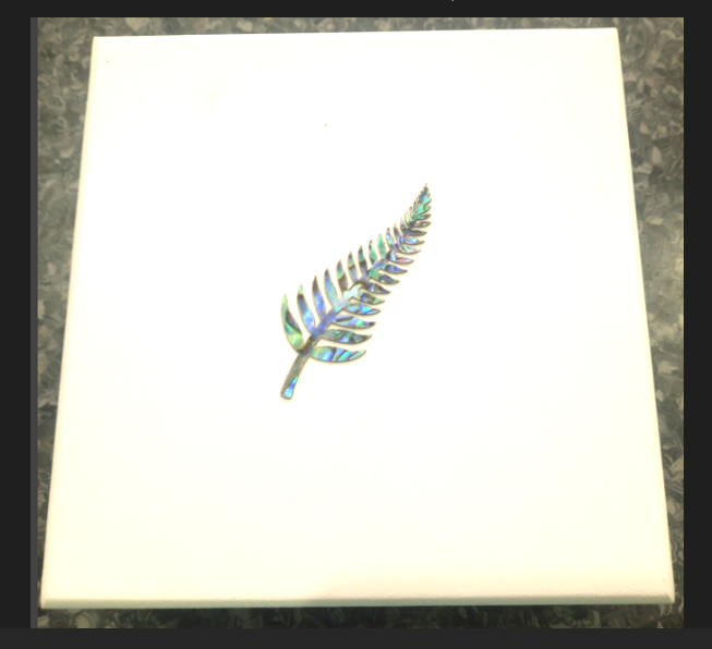 White Giftbox W Fern