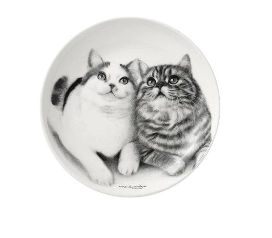 Feline Friends Fixated Friends Trinket Dish