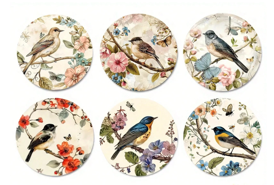 Coaster Birds Set of 6 W Rubber Back