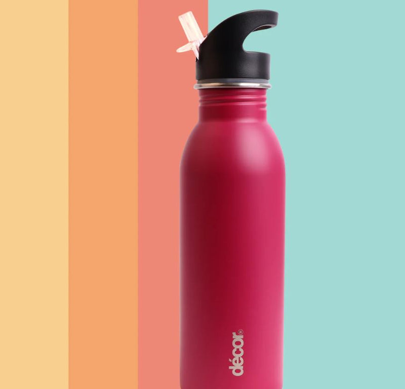 Décor Snap n Seal Stainless Steel Bottle, 600ml