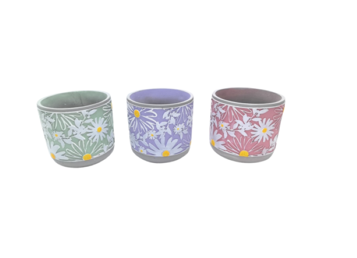 Daisy Plant Pot Single