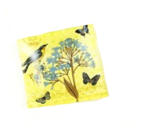 Nibbles Plates Singles