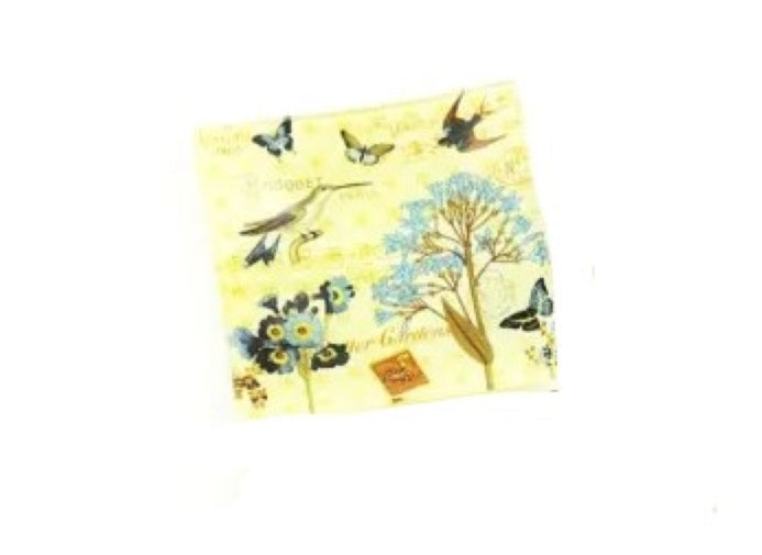 Nibbles Plates Singles