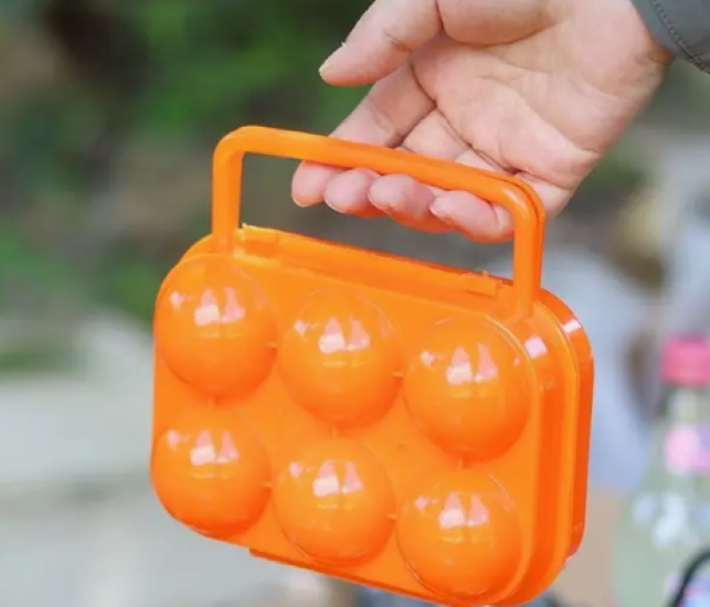 Egg Carrier