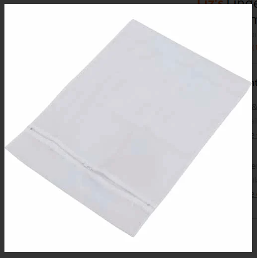 Lingerie Washing Bag (360 x 500)