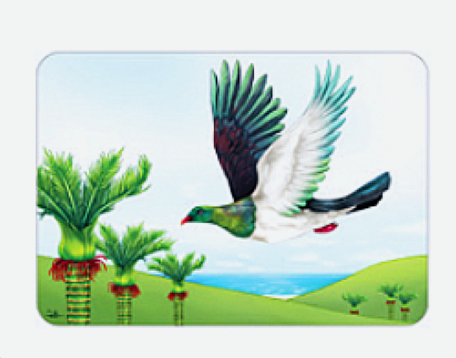 Placemat Set of 4 NZ Birds