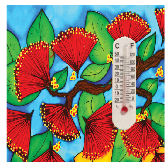 Ceramic Thermometer Magnet NZ Designs - Single
