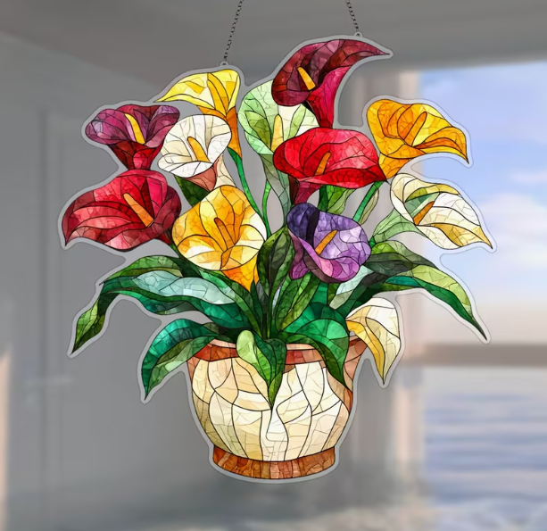 Sun Catcher Lily Picture