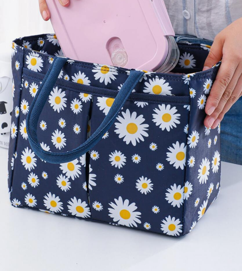 Insulated Lunch Bag Asst Styles
