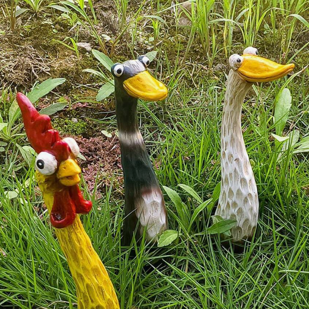 Quirky Chickens/Ducks