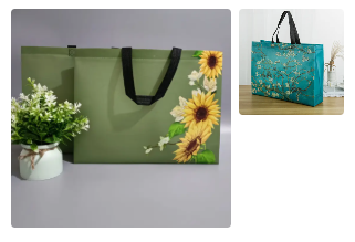 Retail Bag - Large Woven