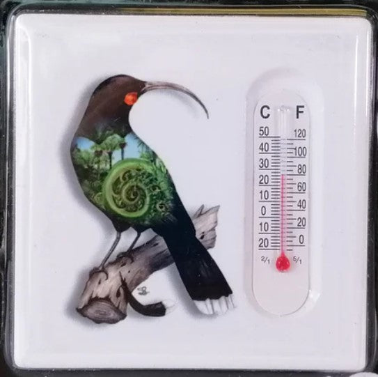 Ceramic Thermometer Magnet NZ Designs - Single