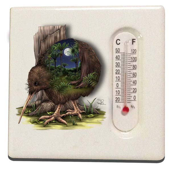 Ceramic Thermometer Magnet NZ Designs - Single