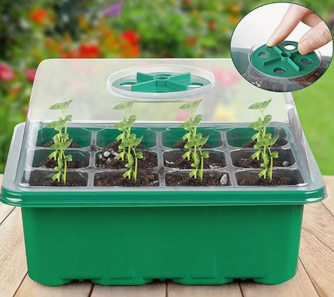 Seedling Tray With Cover 3 Pc