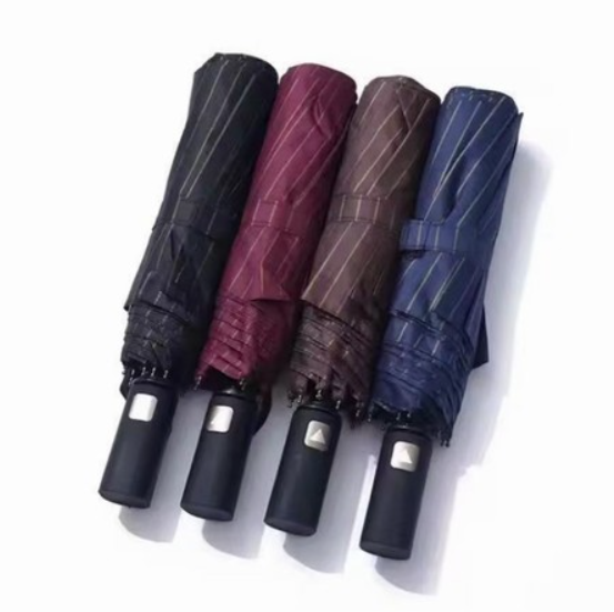 Automatic Umbrella
