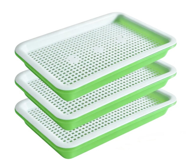 Green Tray W Draining Tray