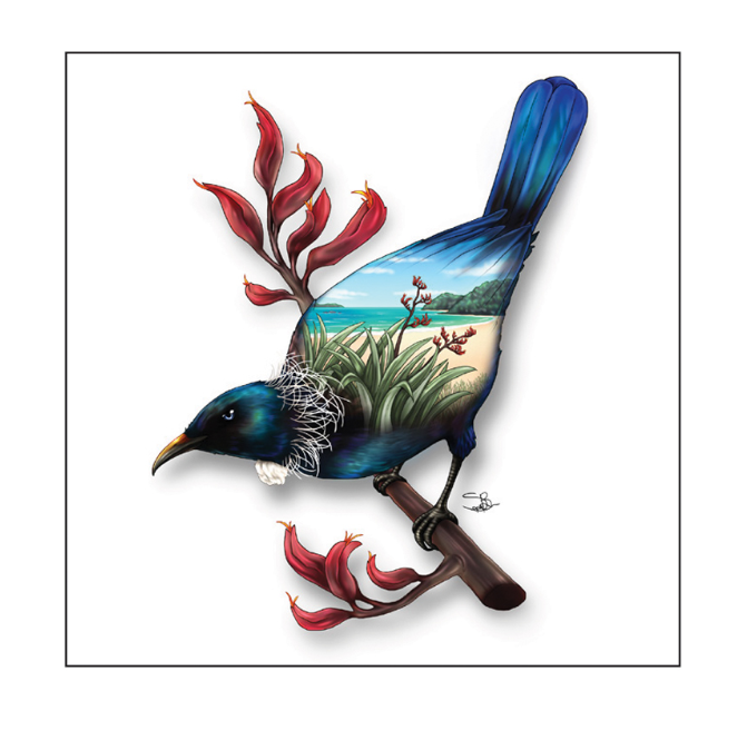 Ceramic Tile NZ Designs 15 x 15cm