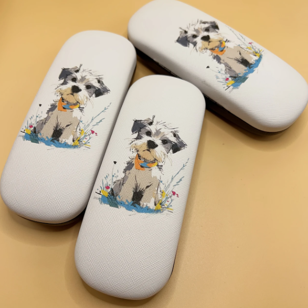 Glasses Case