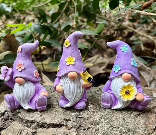 Gnome Purple Mini