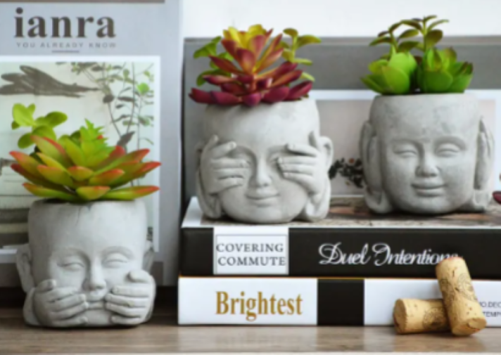 See/Hear/Speak Baby Monk Planter W Succulents Single