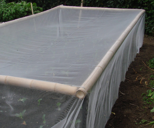 Bug Net 4m x 4m