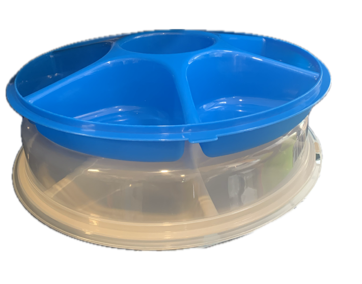 Plastic Snack Tray