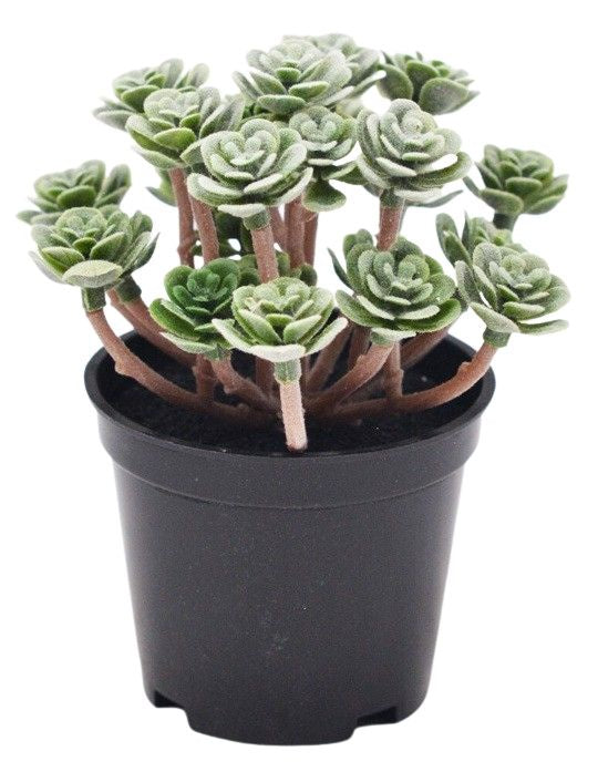 Mini Artificial Plant