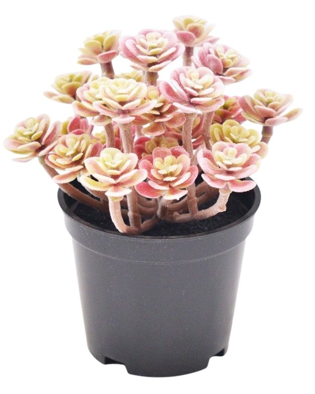 Mini Artificial Plant