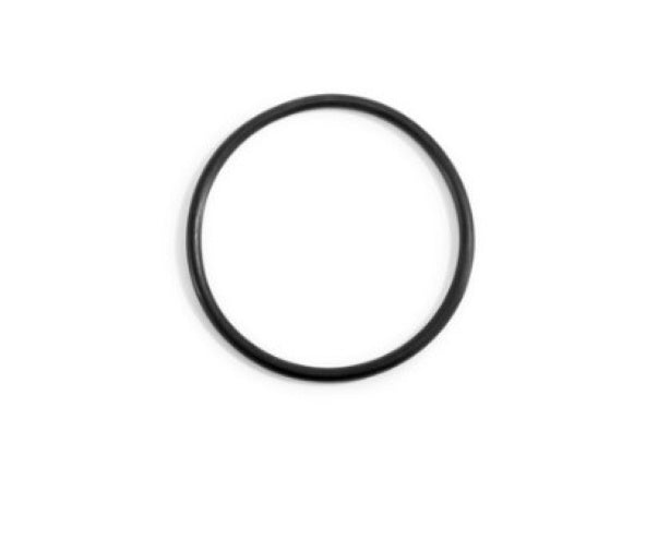 Titanium Electrode O-Ring, for ECO7230 Saltwater System