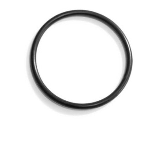 Adapter O-Ring for 10" SF Filter Pump
