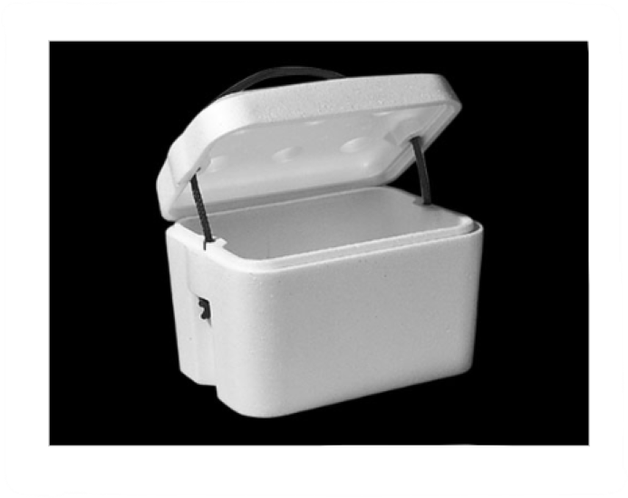 6 Can Holder, with Lid & Handle, Polystyrene