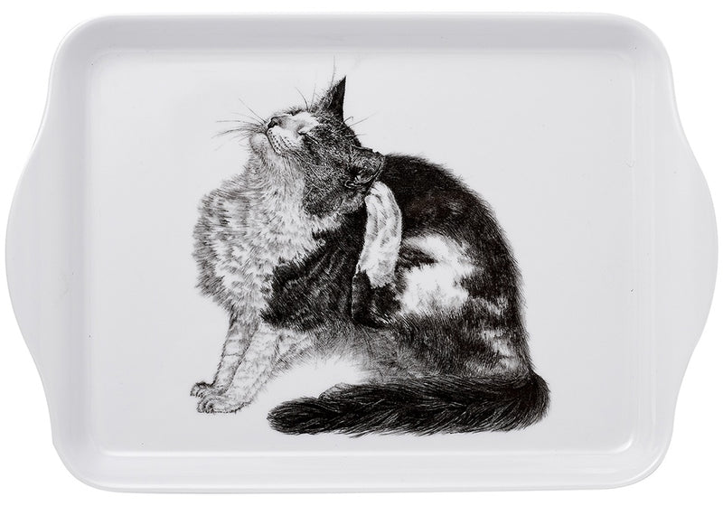 Casual Cats Itching Scatter Tray