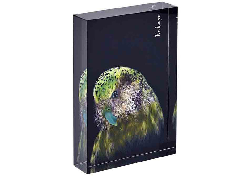 Majestic Birds Kakapo Mini Gallery