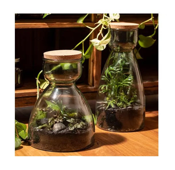 Eco Recycled Senna 43cm Terrarium