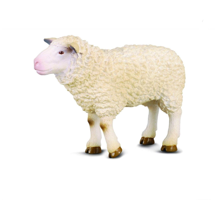 CollectA Medium Sheep