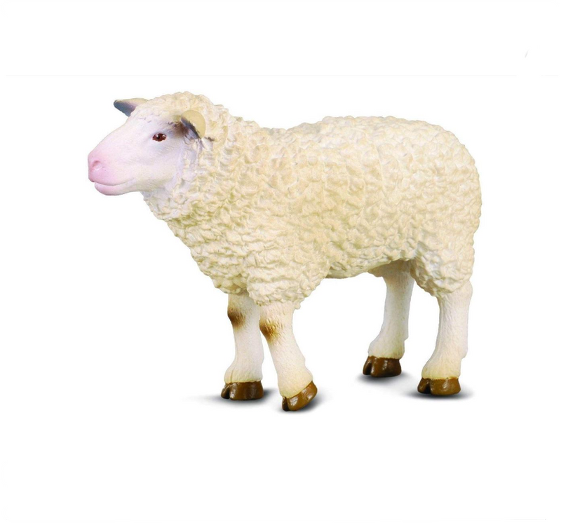 CollectA Medium Sheep