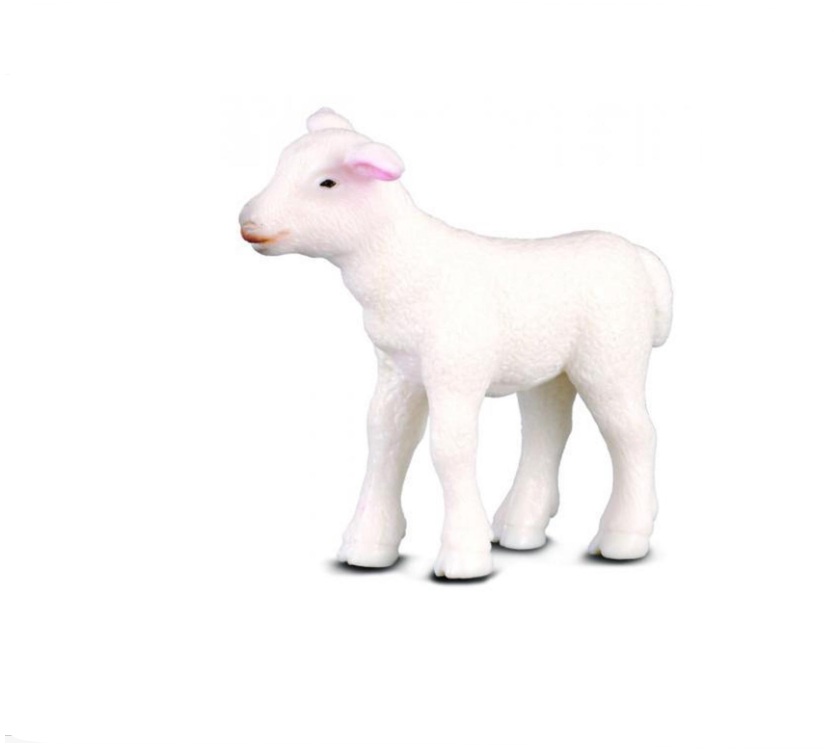 CollectA Small Lamb Standing