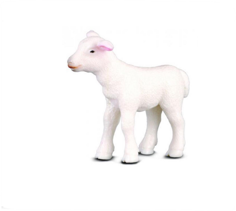 CollectA Small Lamb Standing