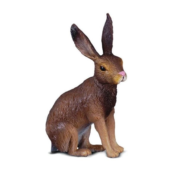 Brown Hare Small