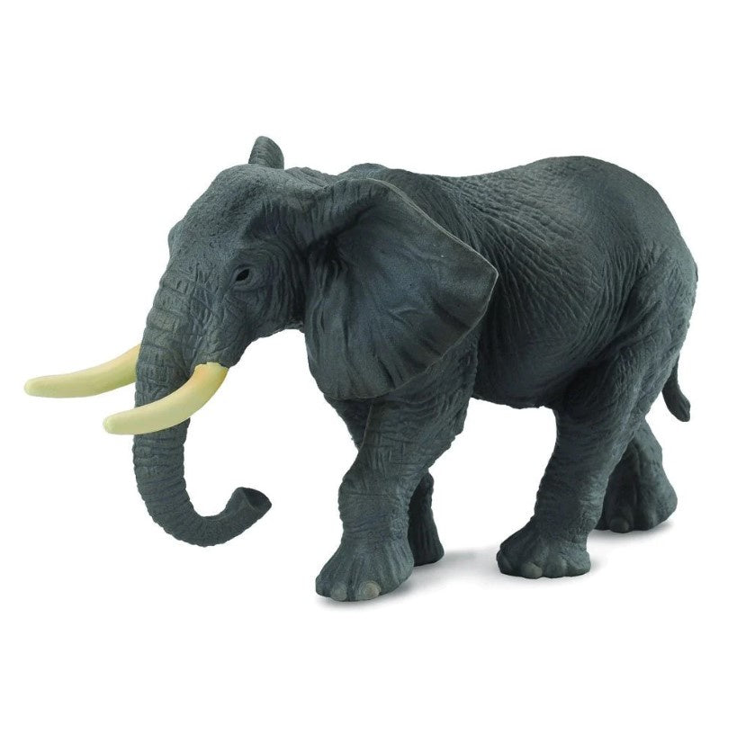 CollectA Xl African Elephant – Payless Lifestyle