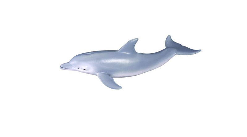 Bottlenose Dolphin Medium