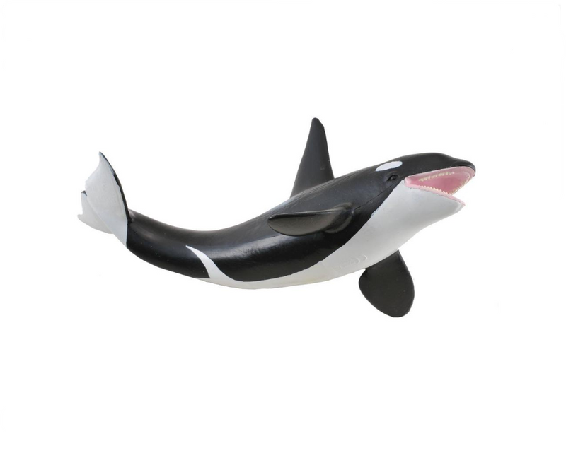 CollectA Xl Orca