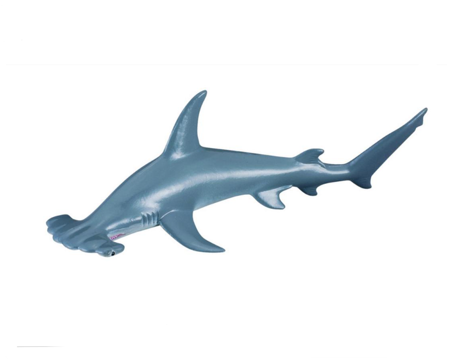 CollectA Medium Scalloped H/Head Shark