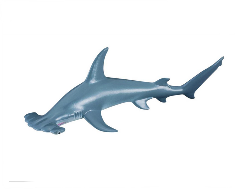 CollectA Medium Scalloped H/Head Shark