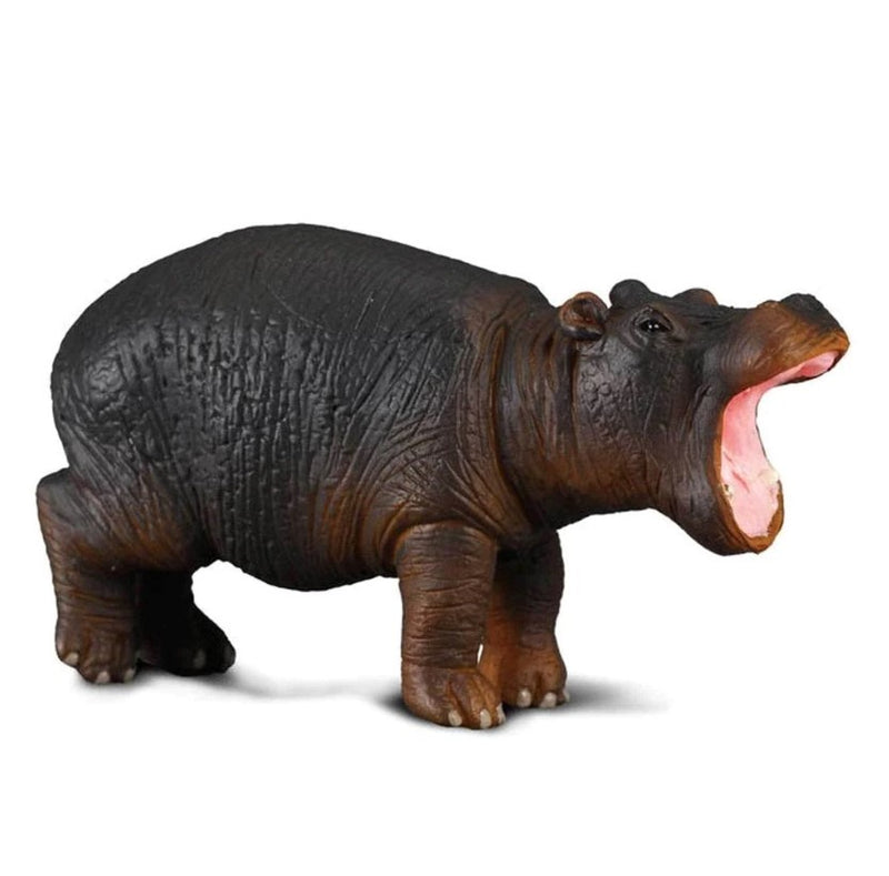 CollectA Small Hippopotamus Calf