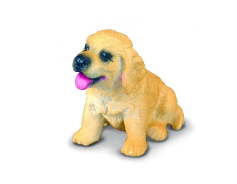 Golden Retriever Puppy Small