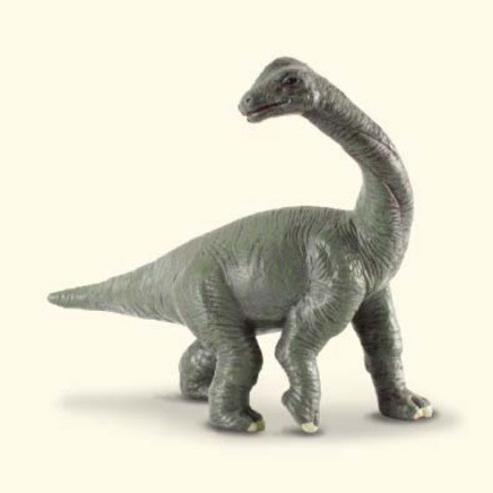 Brachiosaurus Baby Small